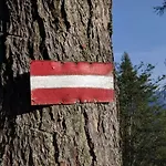 Ferienbungalow Mountain View Wood