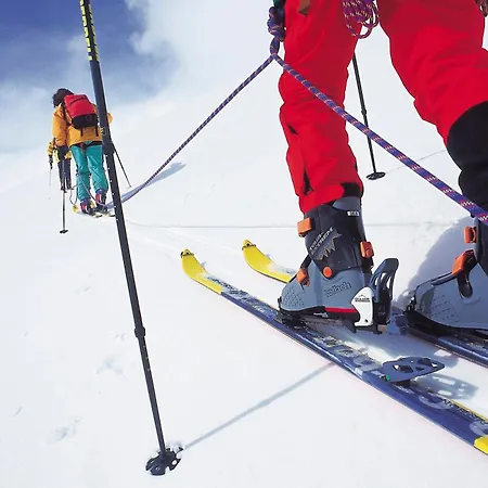 Сasa de vacaciones Ferienbungalow Mountain View Wood