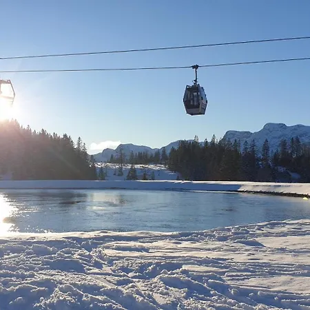 Ferienbungalow Mountain View Wood *