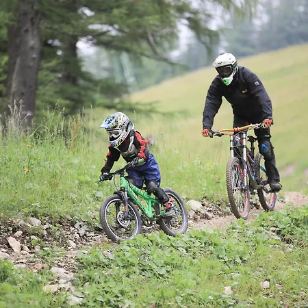 Ferienbungalow Mountain View Wood Сasa de vacaciones