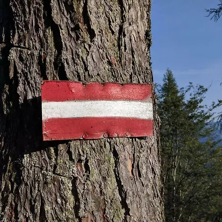 Ferienbungalow Mountain View Wood