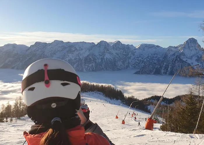 Ferienbungalow Mountain View Wood