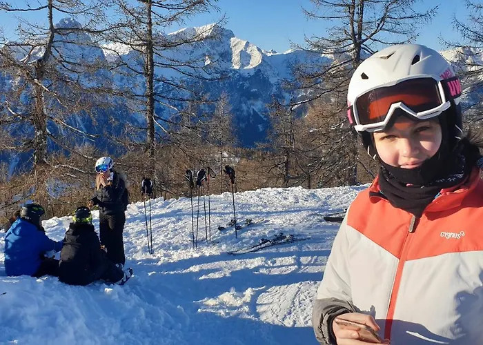 Ferienbungalow Mountain View Wood Σπίτι διακοπών *