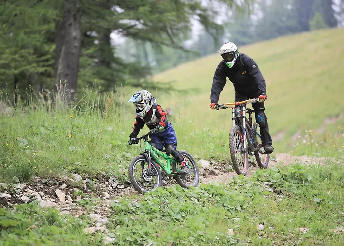 Ferienbungalow Mountain View Wood Сasa de vacaciones