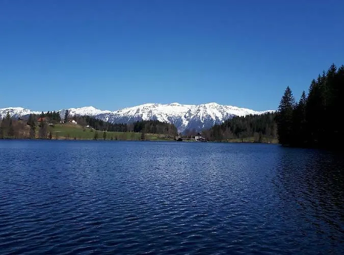 Tatil Evi Ferienbungalow Mountain View Wood Spital Am Pyhrn