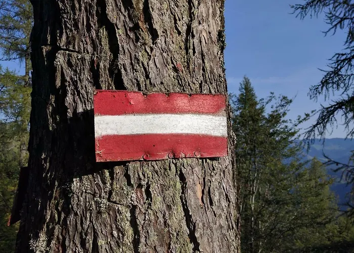 Ferienbungalow Mountain View Wood