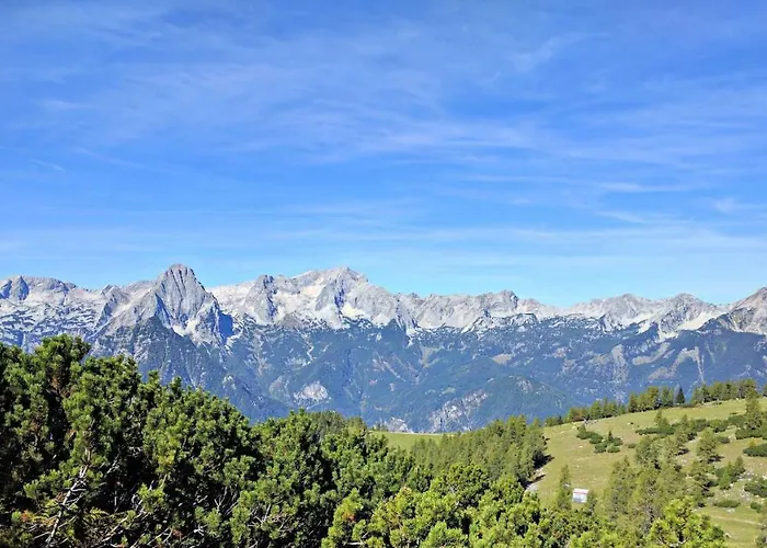 Ferienbungalow Mountain View Wood * Spital Am Pyhrn