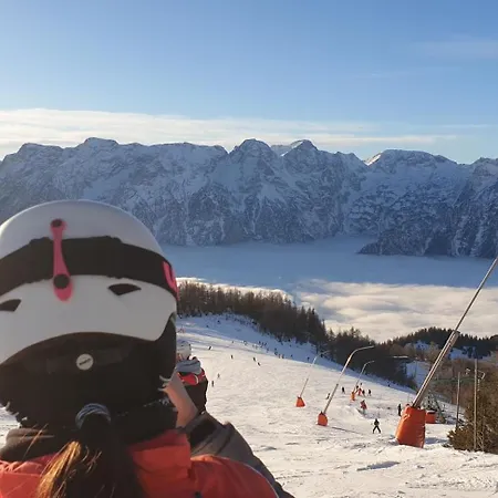 Ferienbungalow Mountain View Wood