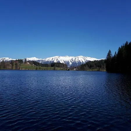 Holiday home Ferienbungalow Mountain View Wood Spital Am Pyhrn